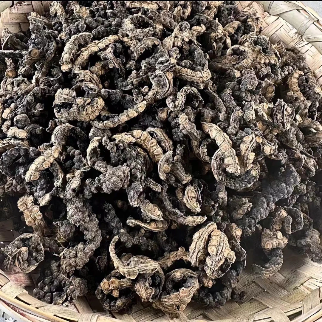 【主播推荐】 山货  消溜藤  可搭配枸杞  1