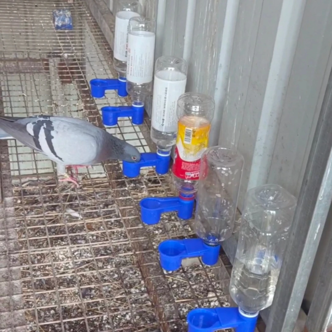 鸟用双口导水器自动饮水器微饮