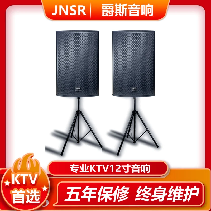 爵斯专业12寸KTV音响进口单元酒吧大厅KTV包间家庭K歌音箱