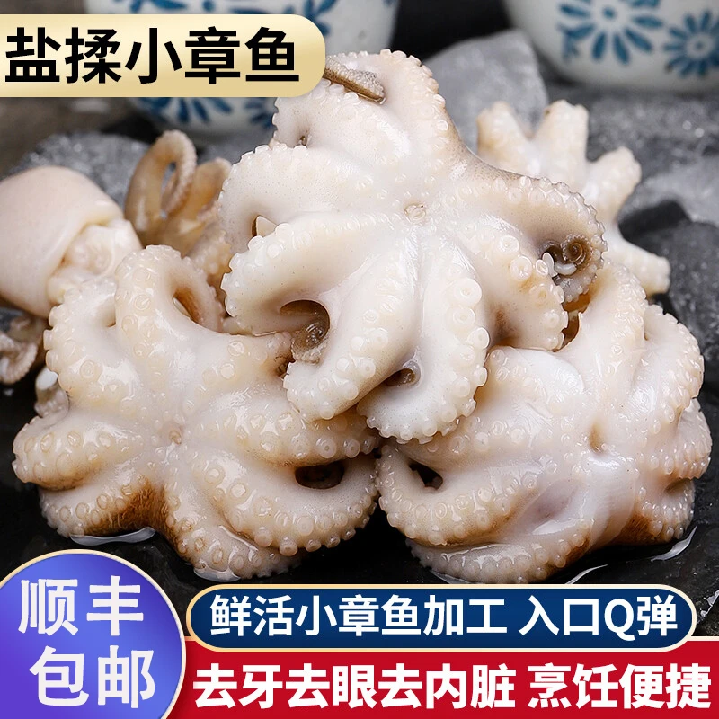 【顺丰包邮】新鲜海捕迷你小八爪鱼去牙去内脏八爪鱼短足小章鱼海鲜