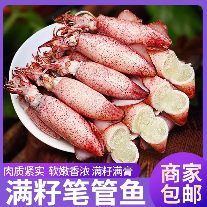 【顺丰包邮】新鲜满籽籽乌鲜活冷冻海兔子连云港海鲜全籽乌贼生鲜