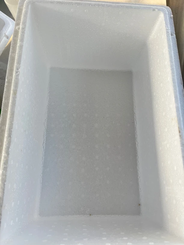 零下地区必拍保温箱有多肉订单再拍