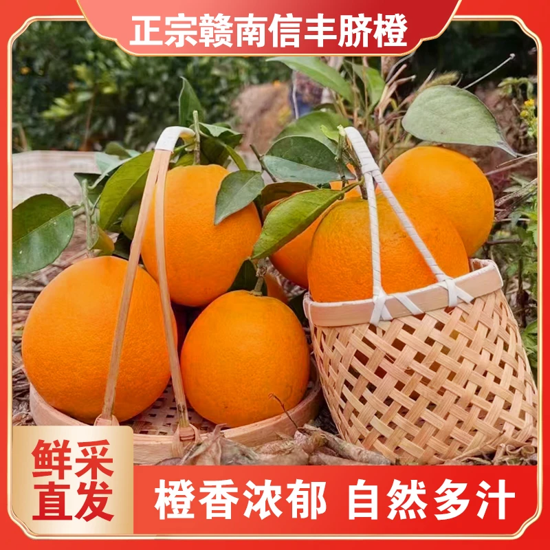 正宗赣南脐橙江西脐橙橙子5斤/10斤/20斤装赣南脐橙果园现摘直发