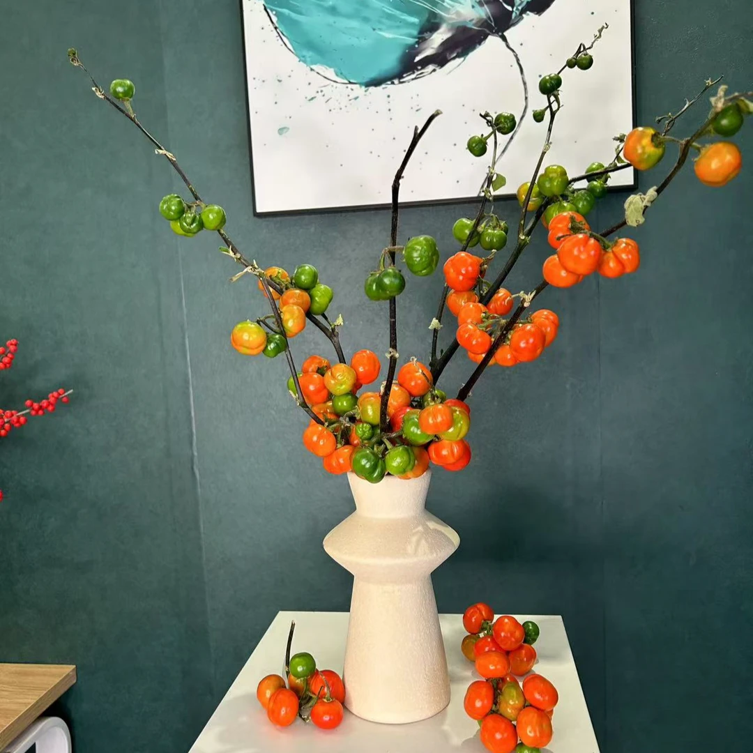 万事不【南】小番茄小南瓜鲜花云南基地直发花期长可做干花