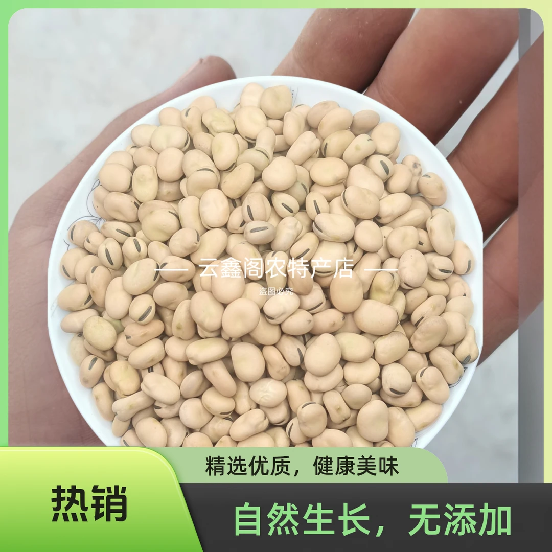 甘肃农家自产蚕豆/羊眼豆/大豆/胡豆/生蚕豆/干蚕豆生蚕豆
