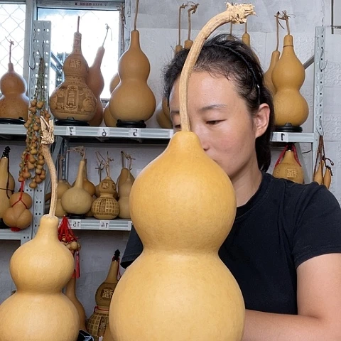 Y****7天然植物葫芦文玩