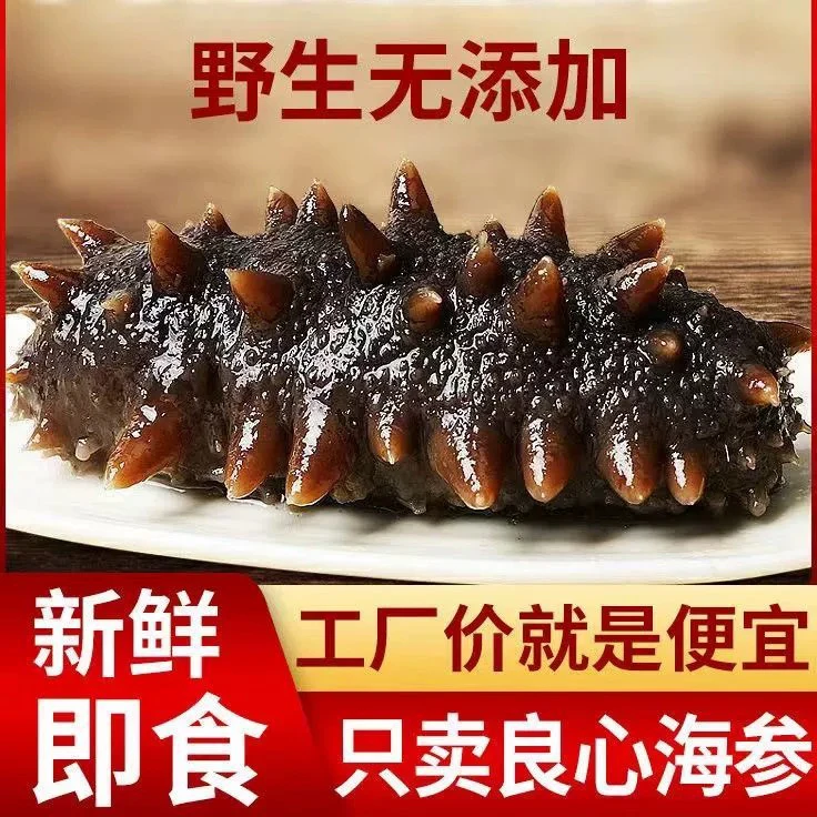 【双十一狂欢】8-10头/500克鲜食即食海参天然底播深海辽刺参