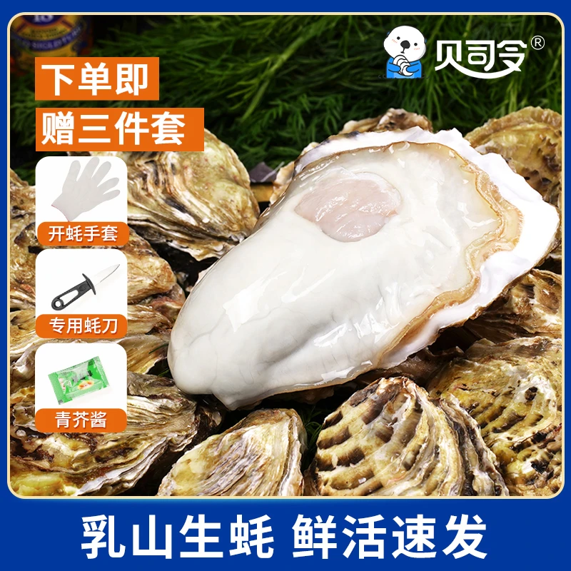 贝司令乳山生蚝生蚝4-6两/个 净重5斤装