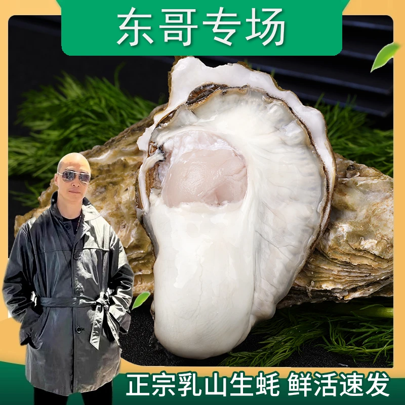 贝司令鲜活乳山生蚝2-5两/个 保鲜保活顺丰非生食贝类牡蛎