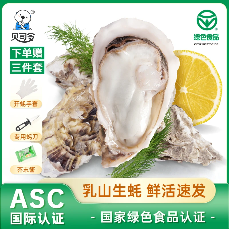 【大LOGO专属 国庆礼遇】贝司令鲜活乳山生蚝6-8两/个 保鲜保活