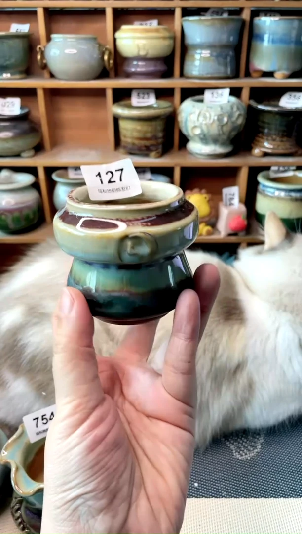 【闪购商品】陶瓷罐127 内口5