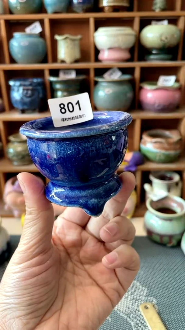 【闪购商品】陶瓷罐801 内口6