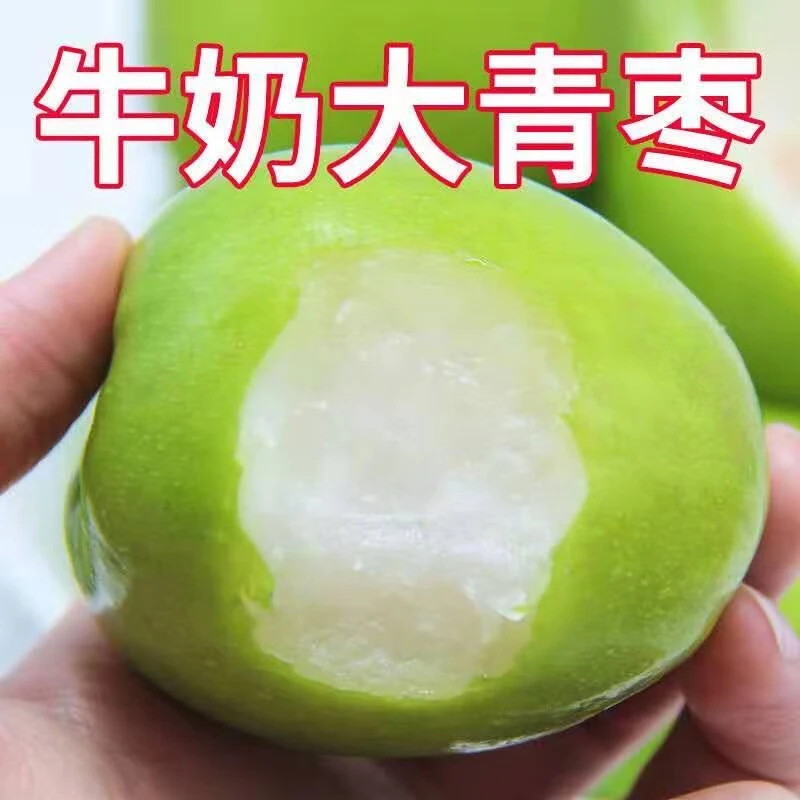 福建牛奶大青枣皮薄蜜枣自然成熟产地直供贵妃枣脆蜜美味新鲜水果