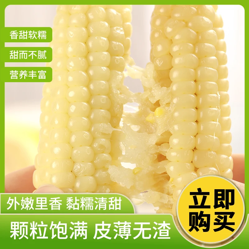 云南西双版纳拇指小玉米一级香糯手指玉米新鲜即食早餐甜黏糯玉米