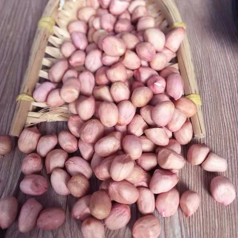 2024年新货花生米精选无壳大白沙大颗粒营养健康新鲜香甜农家