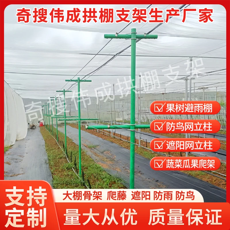 【大棚拱棚支架】百香果玻璃纤维立柱遮阳网立柱耙耙柑立柱避雨防寒