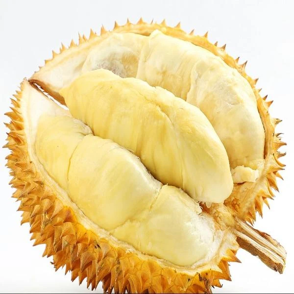 金枕榴莲500g榴莲同城配