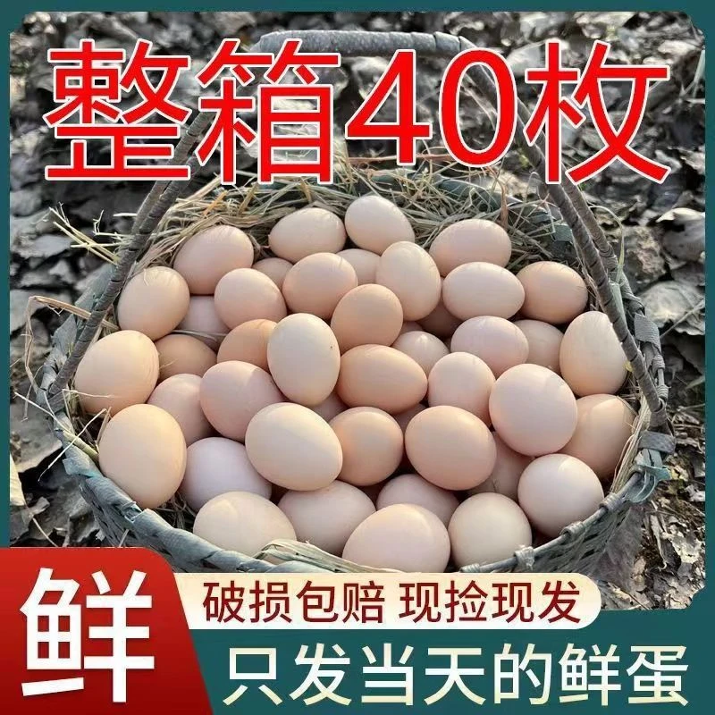 农家散养土鸡蛋40枚