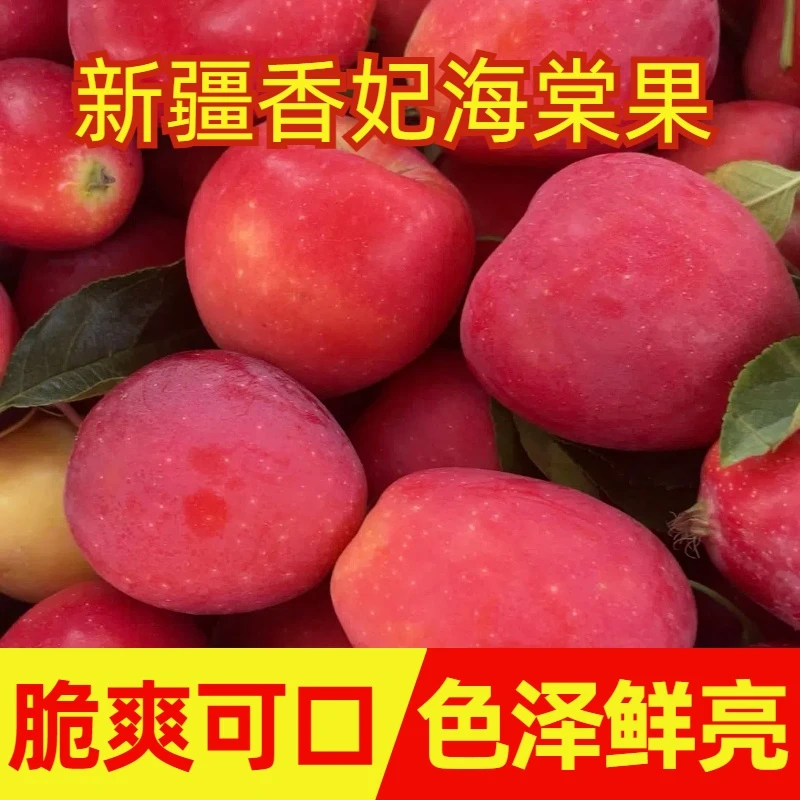 【新疆直发】香妃海棠果自然成熟果园直发6斤装