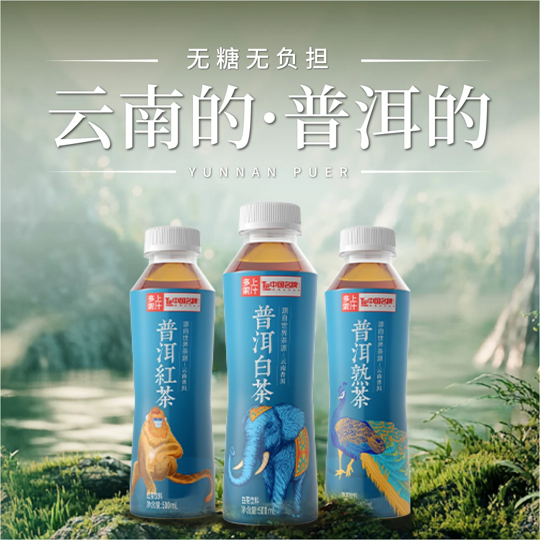 多上普洱茶500ml*5瓶 云南普洱茶原叶热萃