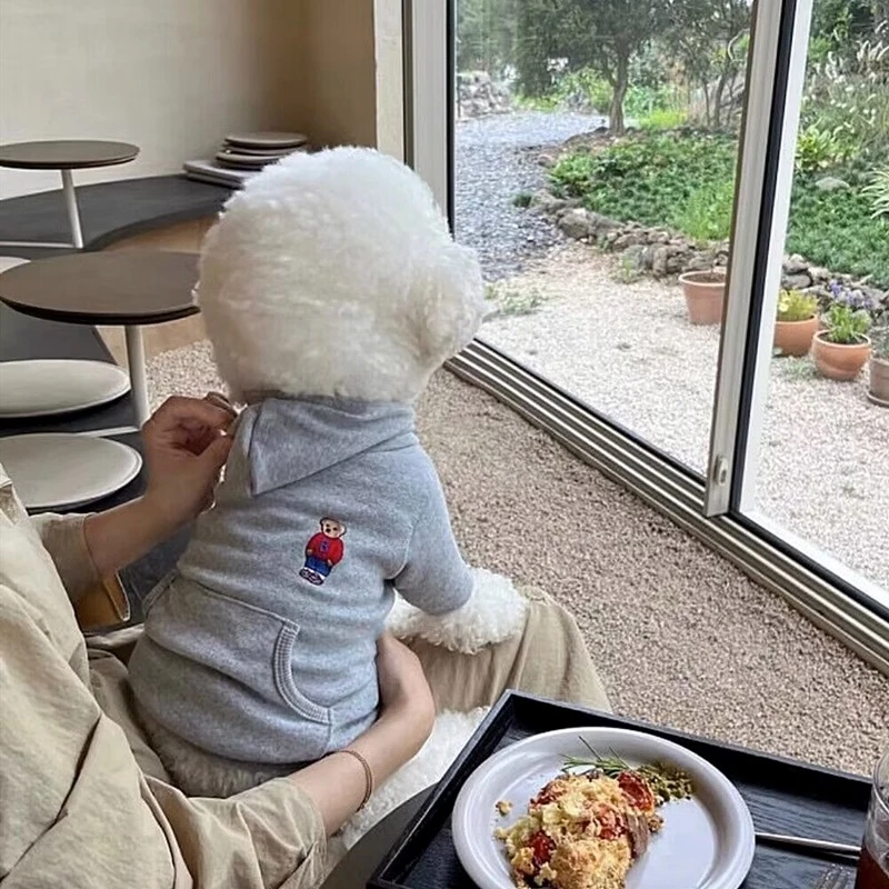 [豆豆专属]小型犬连帽卫衣狗狗比熊衣服防掉毛猫咪秋季衣服5209