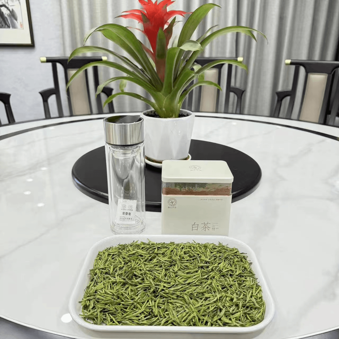 马阳甄选2024新茶白茶高白化开园明前新茶茶香