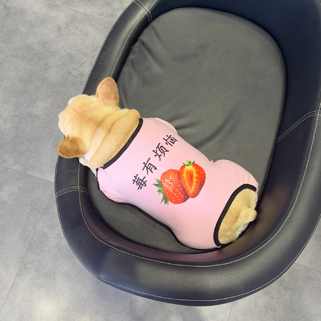 法国斗牛犬四脚衣 春秋中小型狗狗睡衣 英斗胖狗八巴哥连体衣服