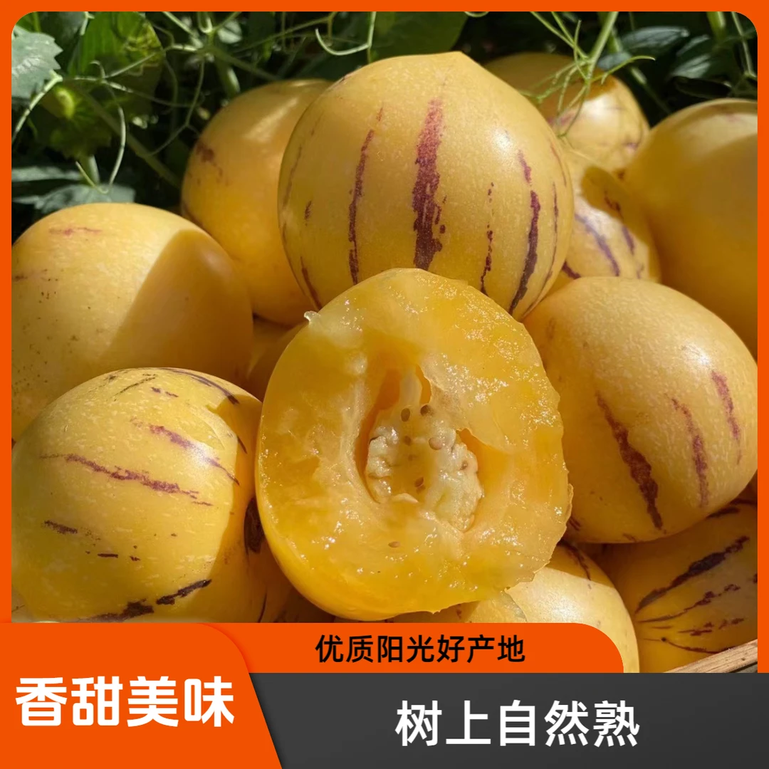 【顺丰冷链包邮人参果】 树上熟圆果正宗云南石林软糯香甜新鲜多汁