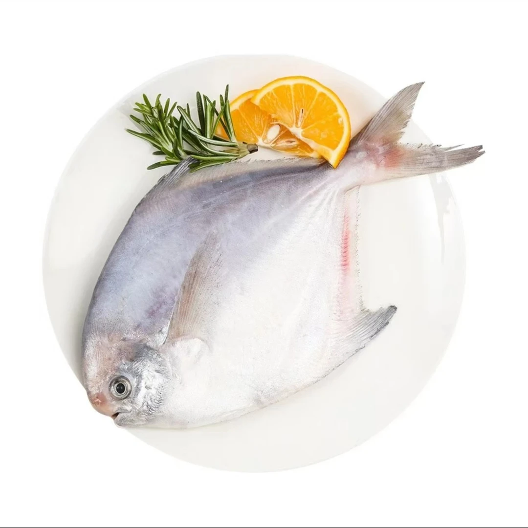 【冰鲜】白鲳鱼200-300g/条