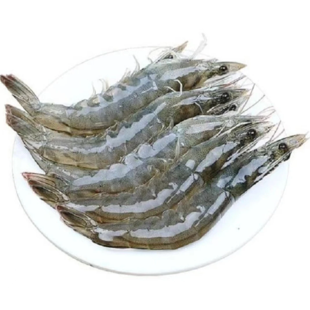 【鲜活】3斤 海白虾（保鲜不保活，介意勿下单）