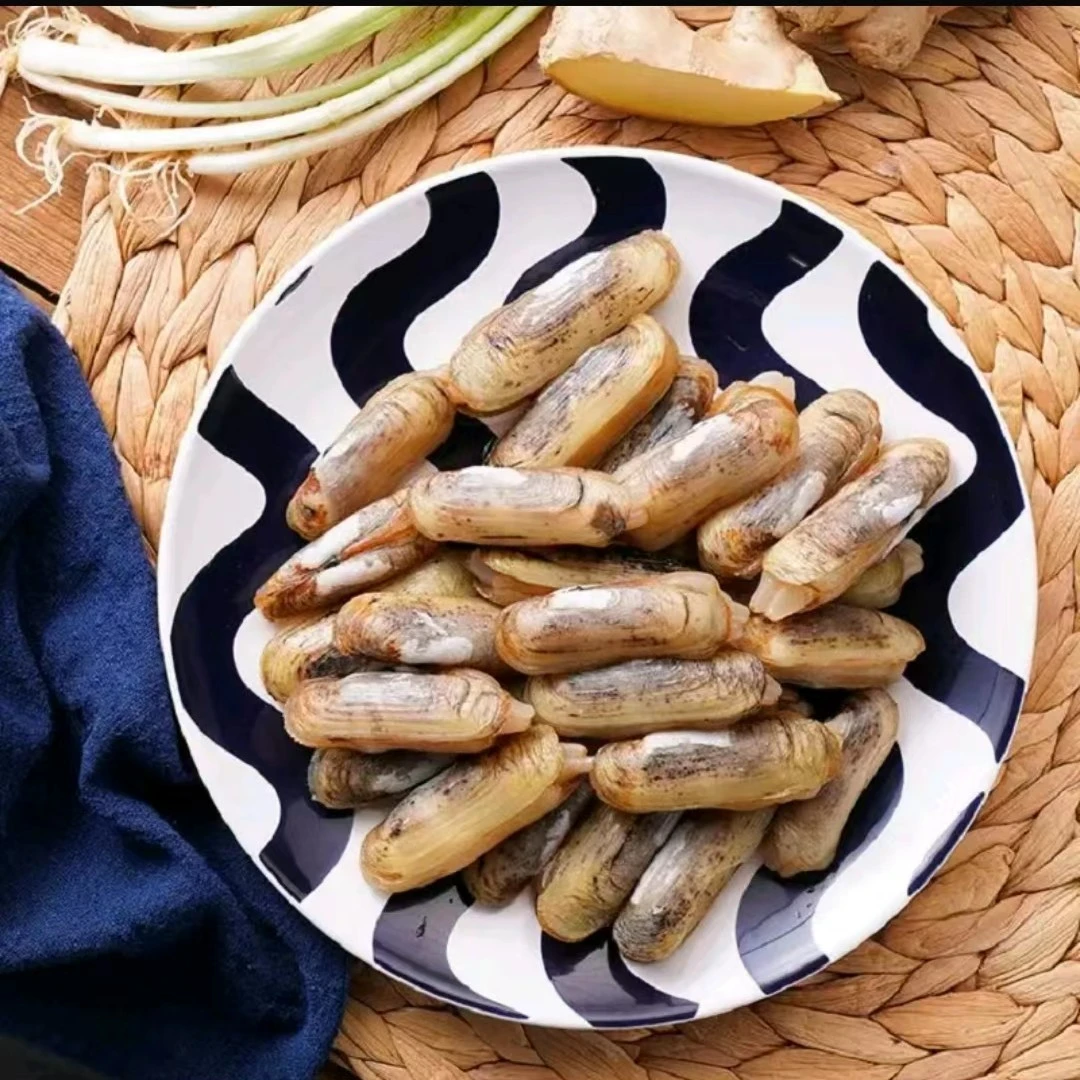 【鲜活】蛏子1斤500g