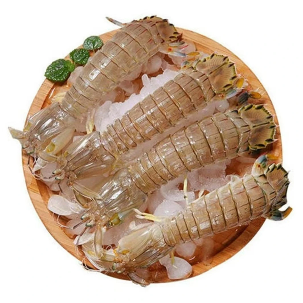 皮皮虾（保鲜不保活，各种规格，大小混发）