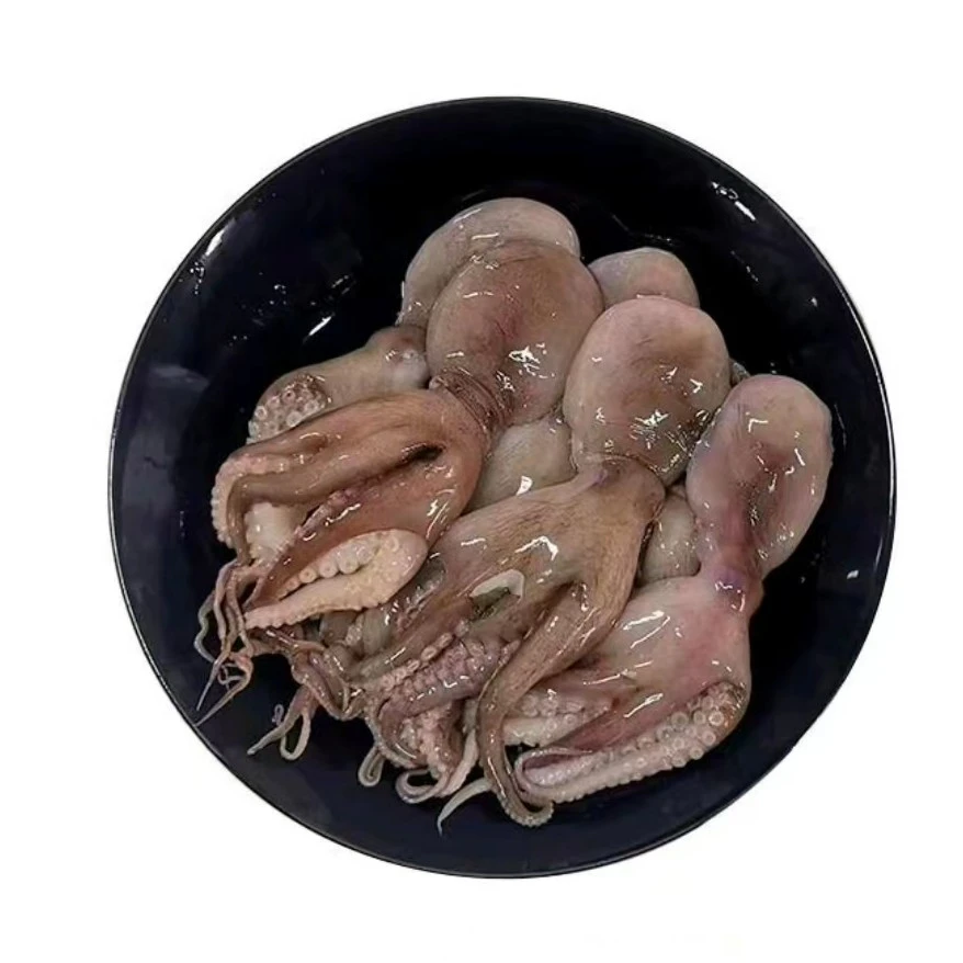 【鲜活】八爪鱼一斤500g/份