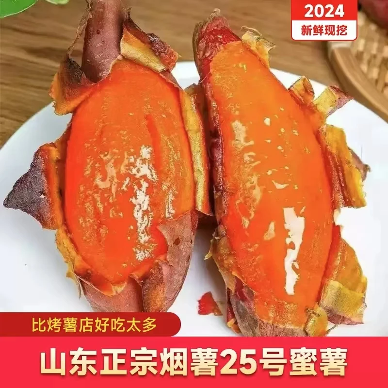 山东烟薯25号4.5斤新鲜沙地糖心烤地瓜新鲜现货