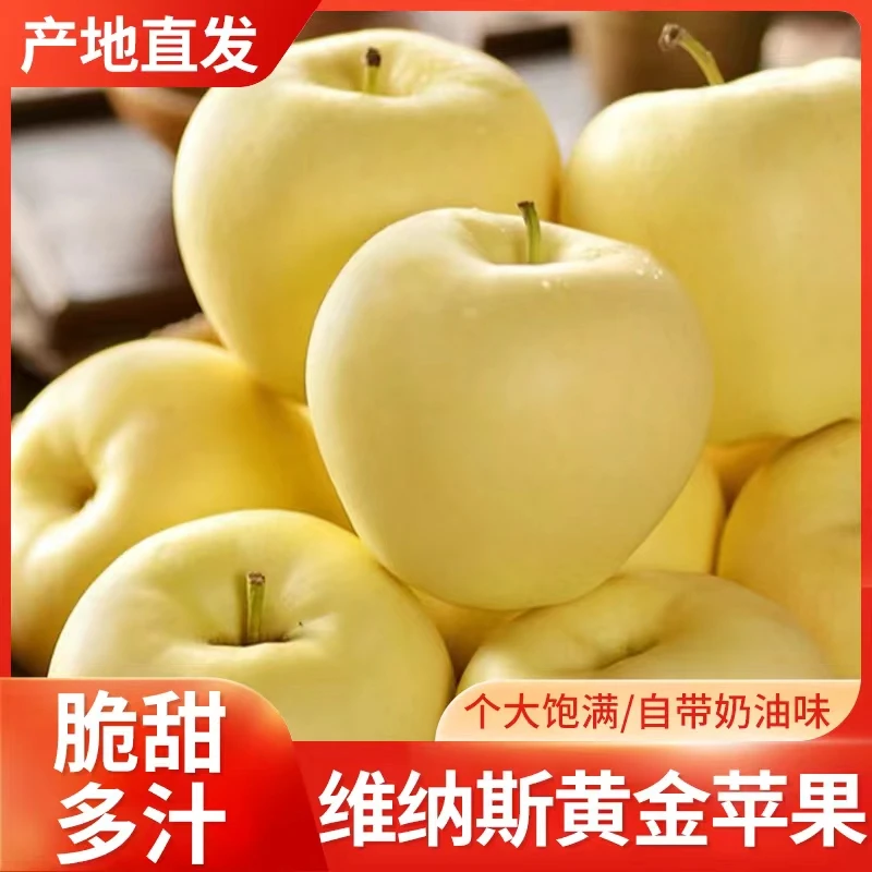 富润林严选顺丰快递礼盒装正宗维纳斯金苹果脆甜自然新鲜营养好吃