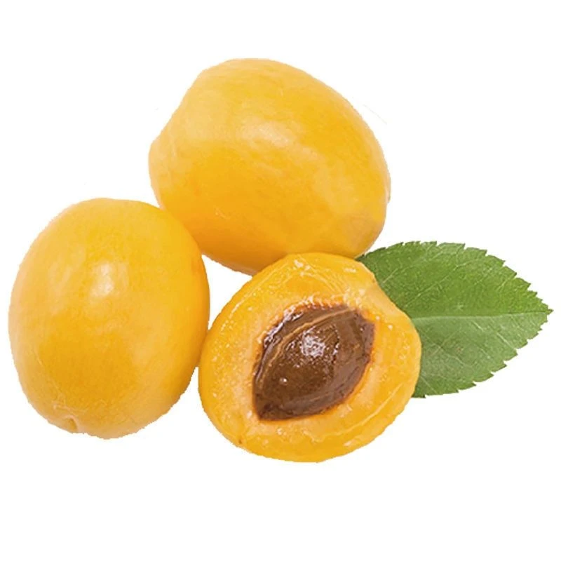 珍珠油杏子500g/盒（纯甜）