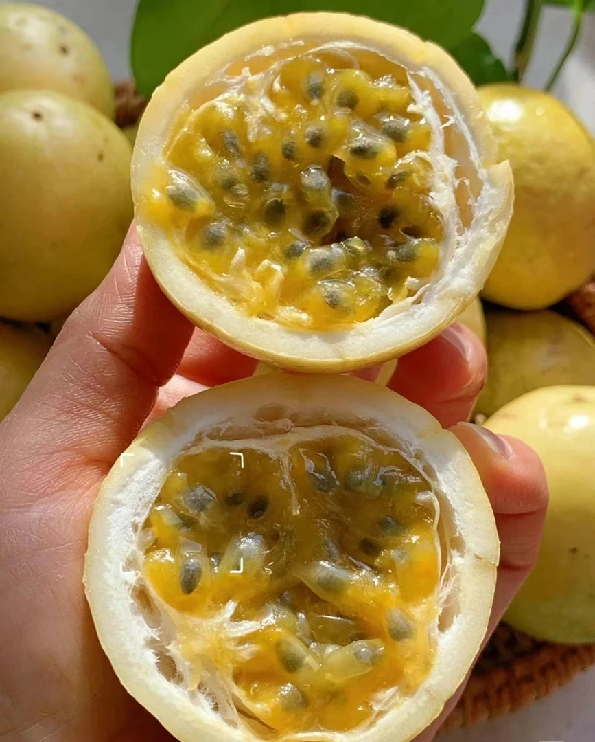 黄金百香果4粒/盒