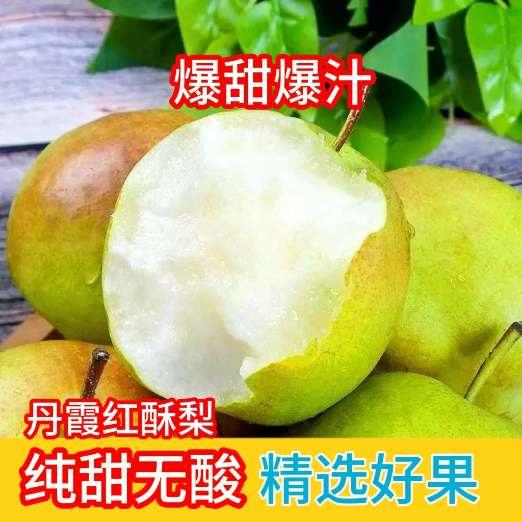 酥梨丹霞红酥梨应季新鲜水果脆甜薄皮多汁梨子山西香梨