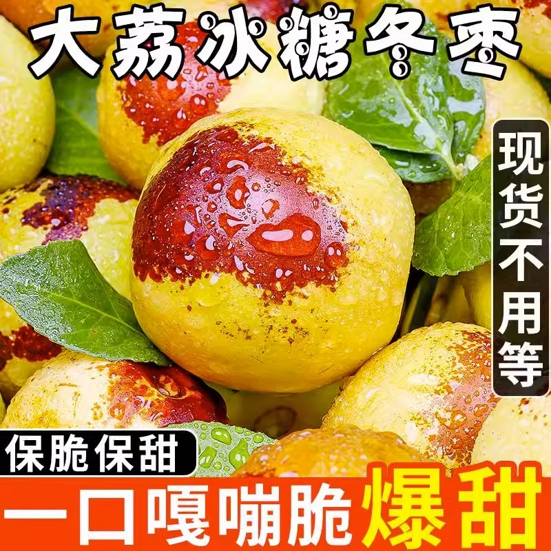 S1正宗陕西大荔冬枣 现摘现发新鲜水果爆甜脆枣鲜枣皮薄肉厚包邮