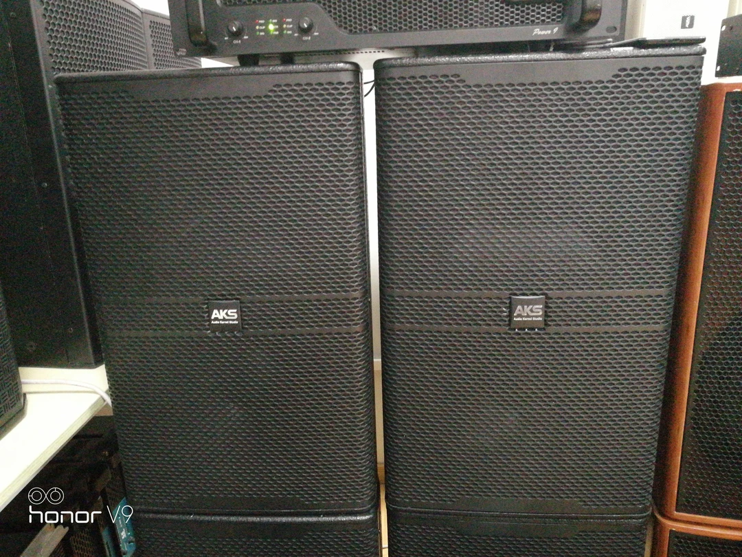 AkS12寸专业后导音响  1对，不包邮
