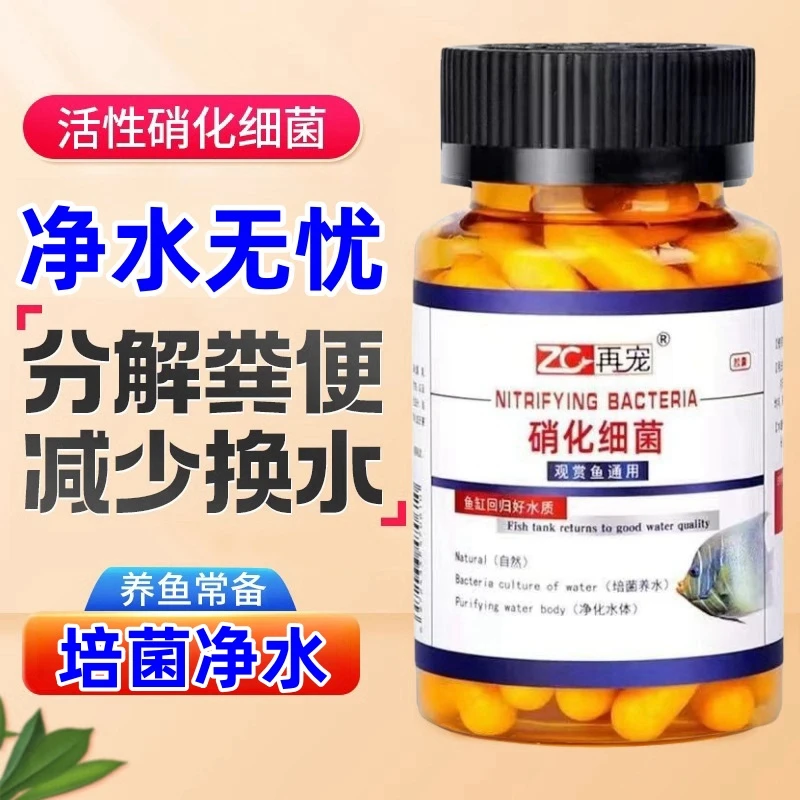 鱼缸专用硝化细菌颗粒鱼缸净水剂稳定生态养鱼净水专用硝化细菌