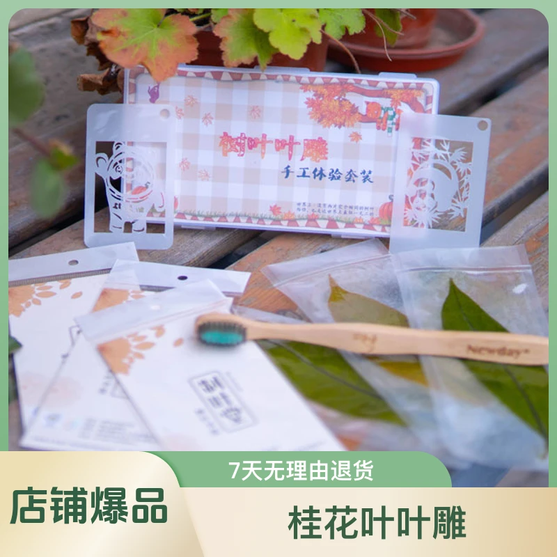 树叶叶雕手工体验套装    桂花叶叶雕   手工DIY（不带相框）