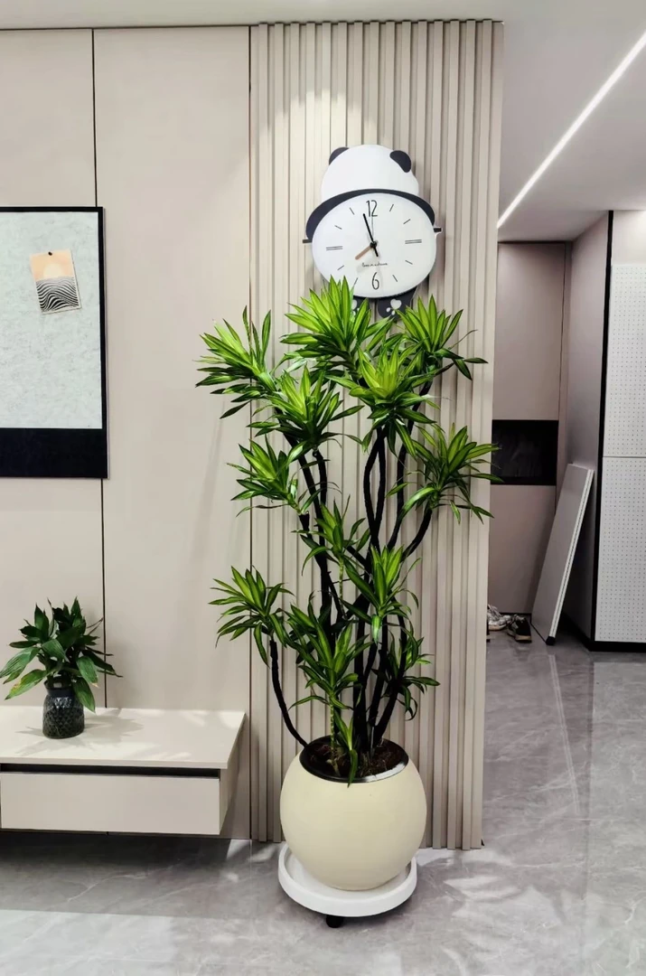 【顺丰包邮】造型百合竹盆栽植物老桩室内客厅净化空气吸甲醛好养