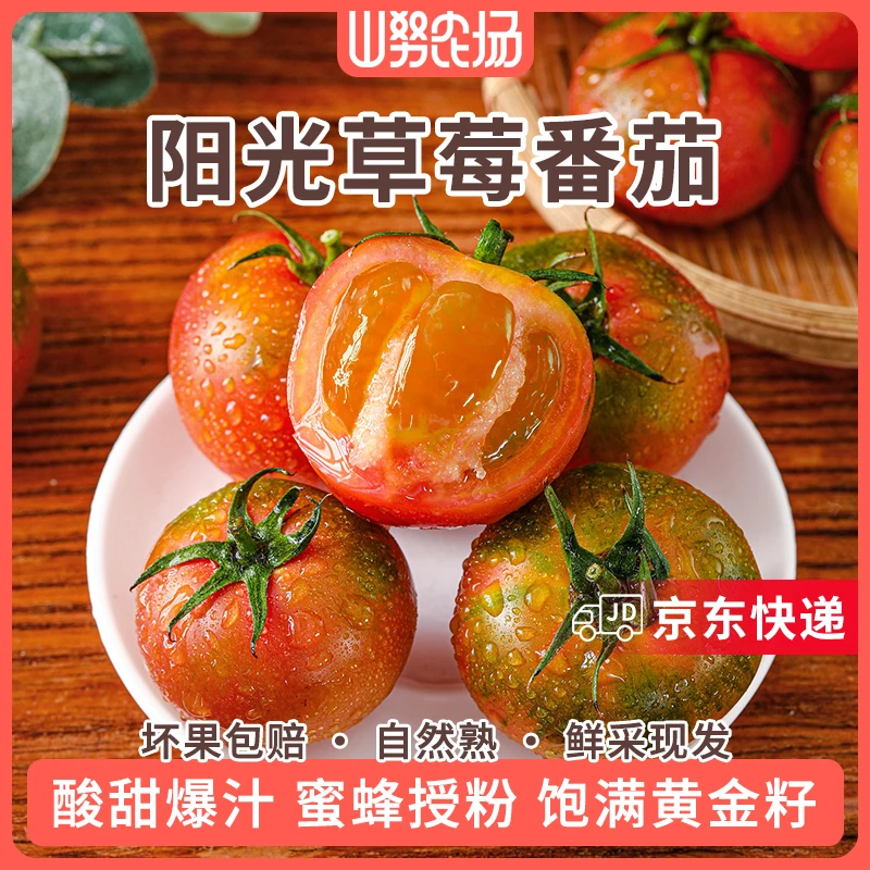 【京东快递】山努阳光草莓番茄水果自然熟酸甜爆汁新鲜铁皮西红柿子