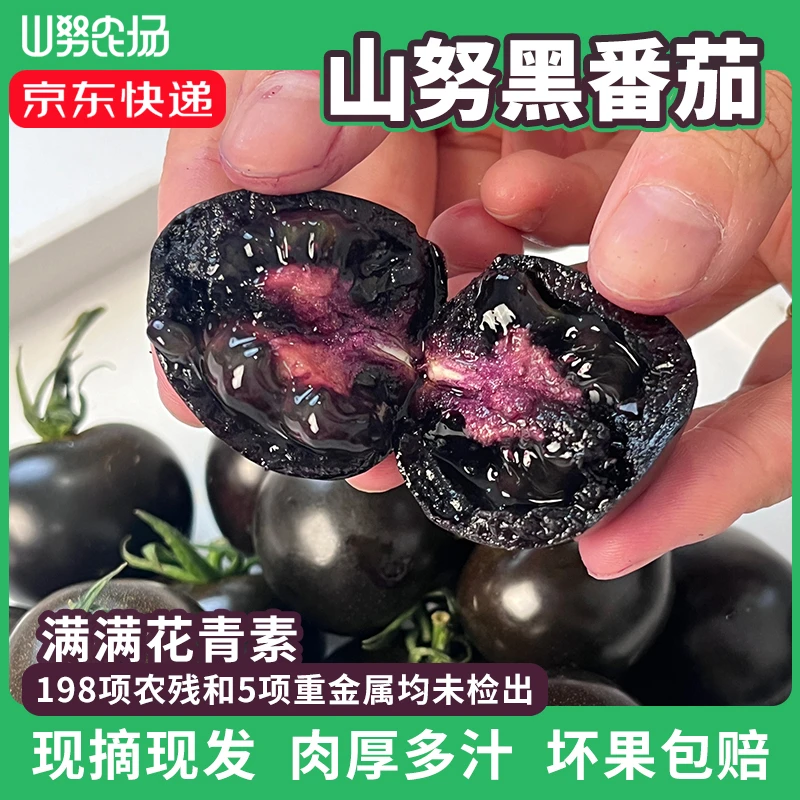 【达人专属】山努黑番茄花青素水果多汁西红柿新鲜生吃圣女果小柿子