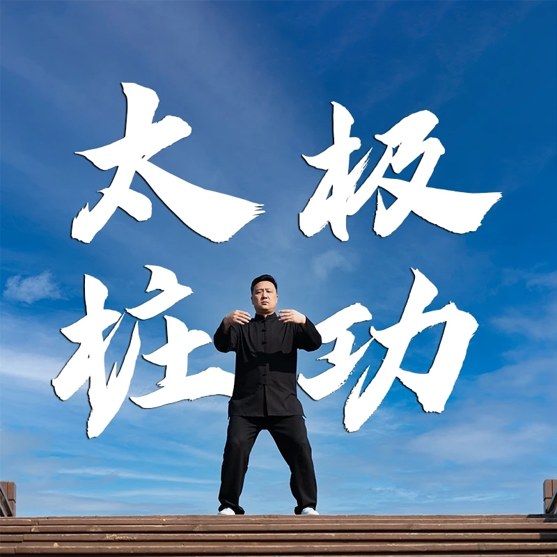 陈二虎太极劲力桩功