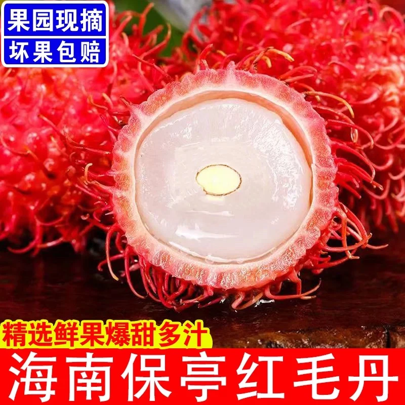 海南保亭红毛丹新鲜水果特产毛丹果孕妇水果带箱当季现摘爆汁包甜