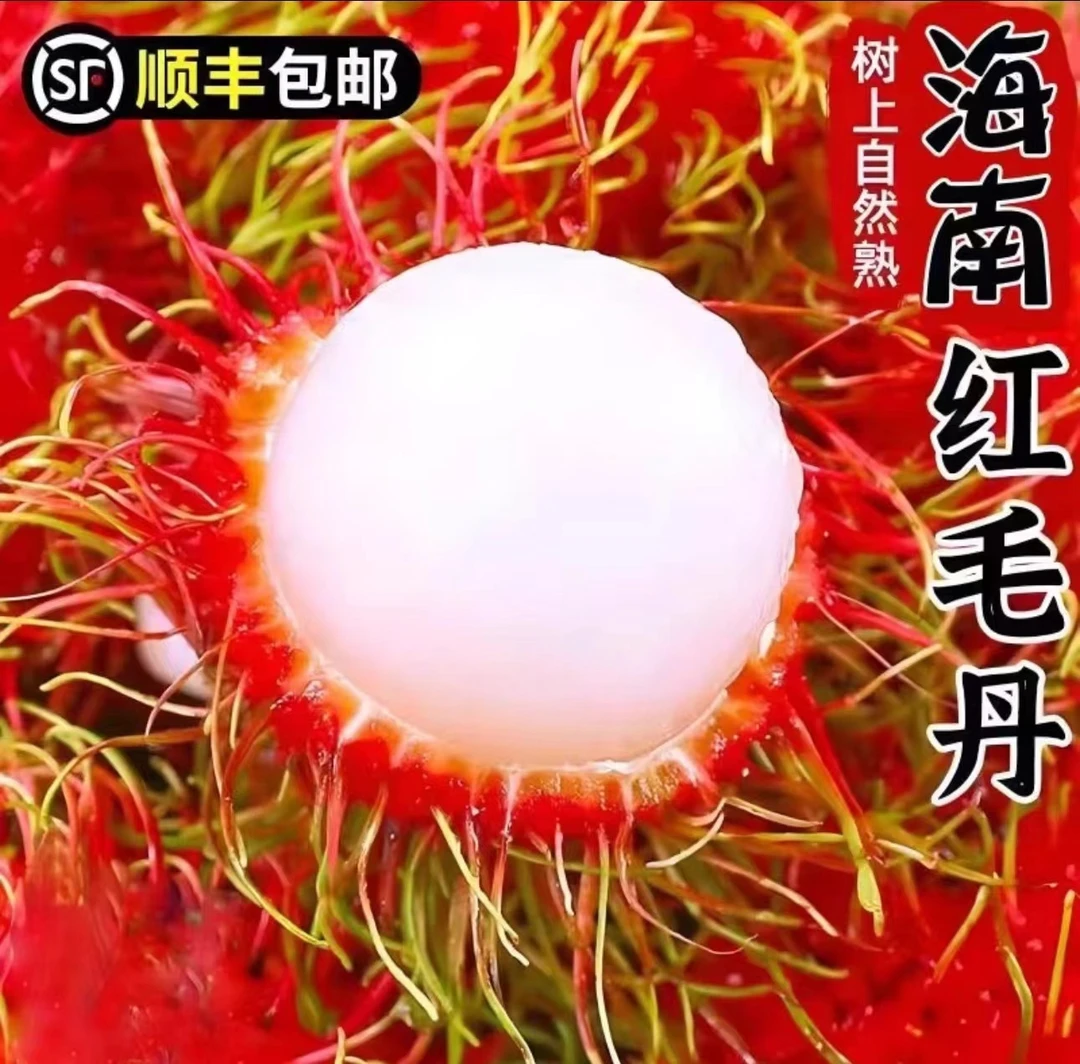 【顺丰包邮】海南保亭红毛丹7号果新鲜水果毛丹果净重2/6斤现摘爆汁