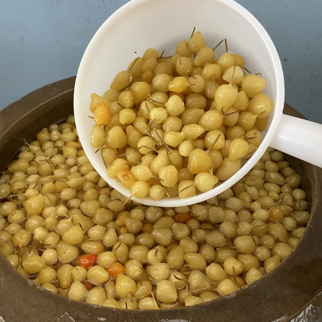 五彩椒五彩泡椒广西特产酱香600g/瓶灯笼椒七彩泡椒下饭菜鲜辣