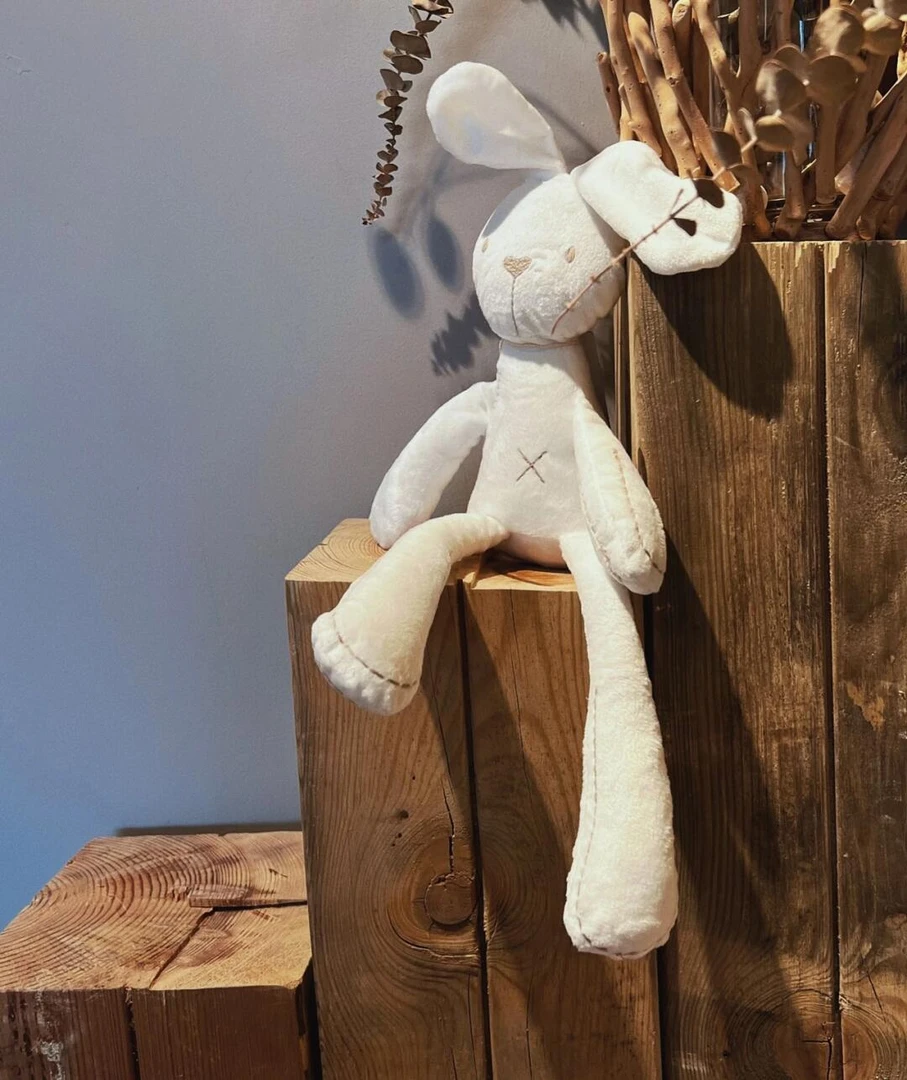 雅赞长腿兔不掉毛安抚兔